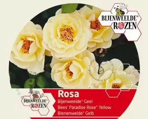 Rosa Bijenweelde® Mix - afbeelding 2