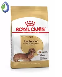 Royal Canin Dachshund adult 1,5kg