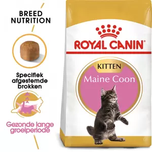 Royal Canin Maine Coon Kitten 2kg