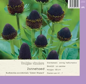 VIPS Rudbeckia occ. Green Wizzard P9