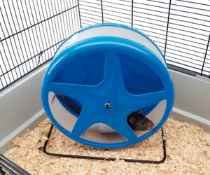 SAVIC Silent hamstermolen orbital l blauw - afbeelding 3