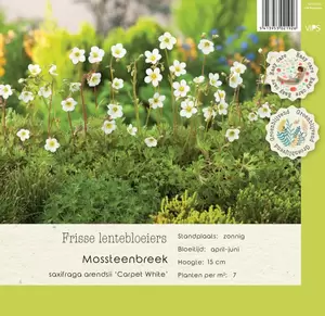 VIPS Saxifraga (A) Carpet White P9