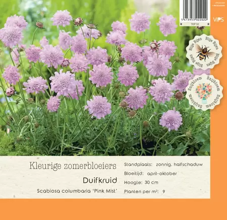 VIPS Scabiosa columbaria Pink Mist  P9