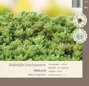 VIPS Sedum oreganum p9