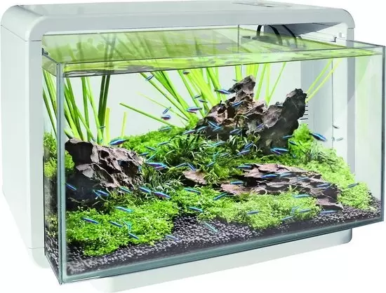 SUPERFISH Aquarium home 25 wit - afbeelding 2