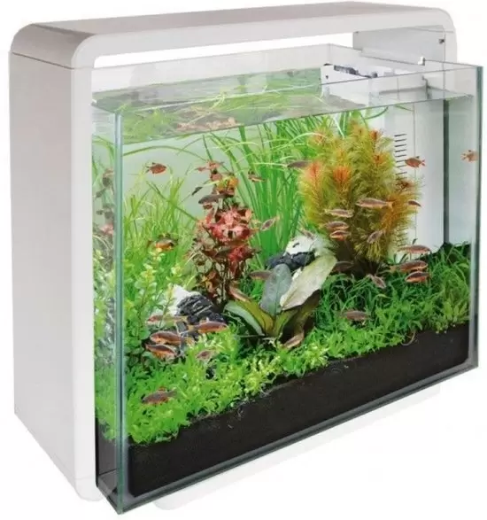 wraak tobben Voorzieningen SUPERFISH Aquarium home 40 wit - GroenRijk Beneden Leeuwen | Een mooi  tuincentrum nabij Tiel, Nijmegen en Beuningen.