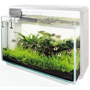 SUPERFISH Aquarium home 60 wit - afbeelding 2