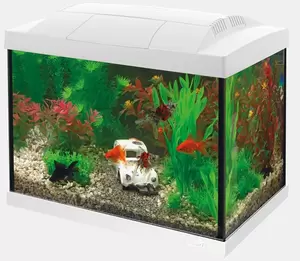 SUPERFISH Start 20 goldfish kit wit - afbeelding 2