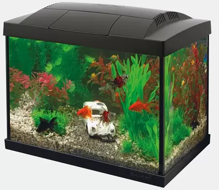 SUPERFISH Start 20 goldfish kit zwart - afbeelding 2