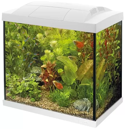 SUPERFISH Start 30 Tropical kit wit