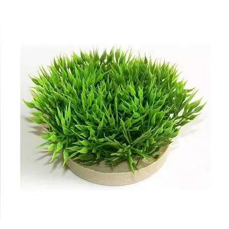 Sydeco green moss