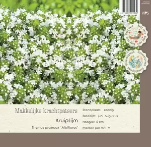 VIPS Thymus praecox Albiflorus p9