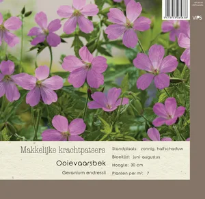 VIPS Geranium endressii Wargrave Pink P9