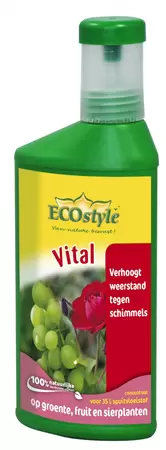 ECOSTYLE Vital concentraat 250ml