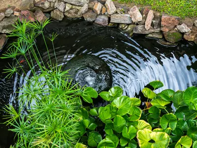 Waterplanten