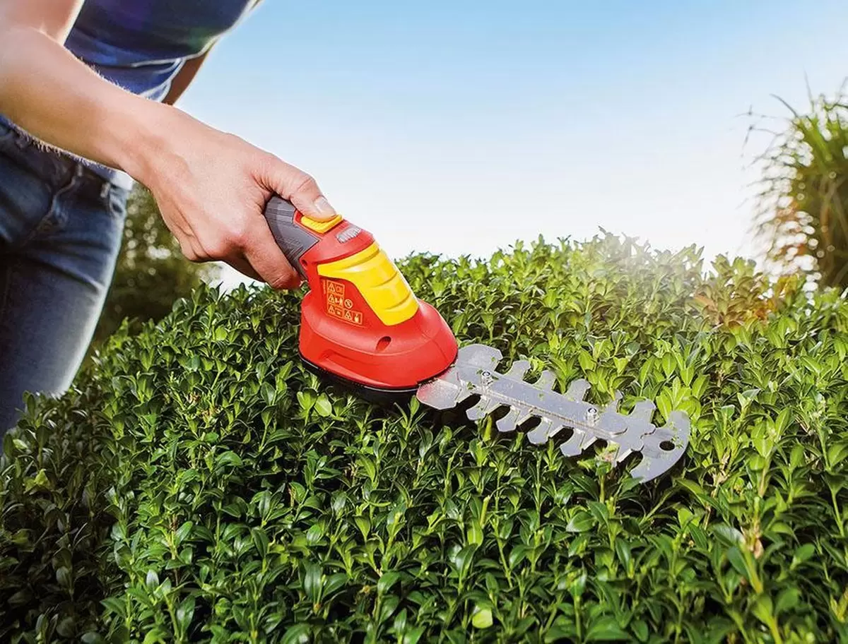 gekruld Retentie rammelaar WOLF GARTEN Accu-buxusschaar finesse li-ion 30b - GroenRijk Beneden Leeuwen  | Een mooi tuincentrum nabij Tiel, Nijmegen en Beuningen.