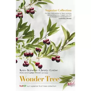 Wonder Tree Lapins - afbeelding 2