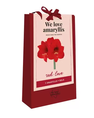 X 1 Tas We Love Amarylis, Rood
