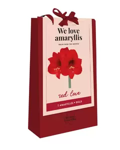 X 1 Tas We Love Amarylis, Rood