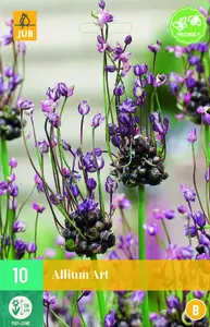 Allium art 10st