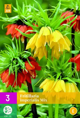 Fritillaria imperialis mix 3st