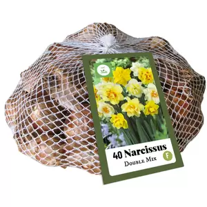 Narcissen dubbel mix 40st